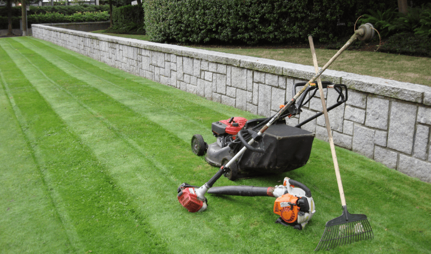 Pro Landscape 